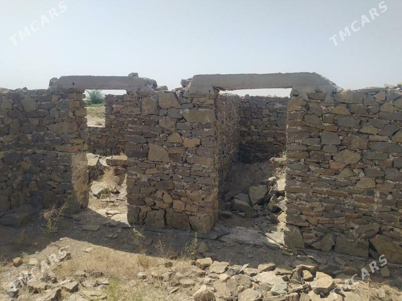 jay - Köýtendag - img 7