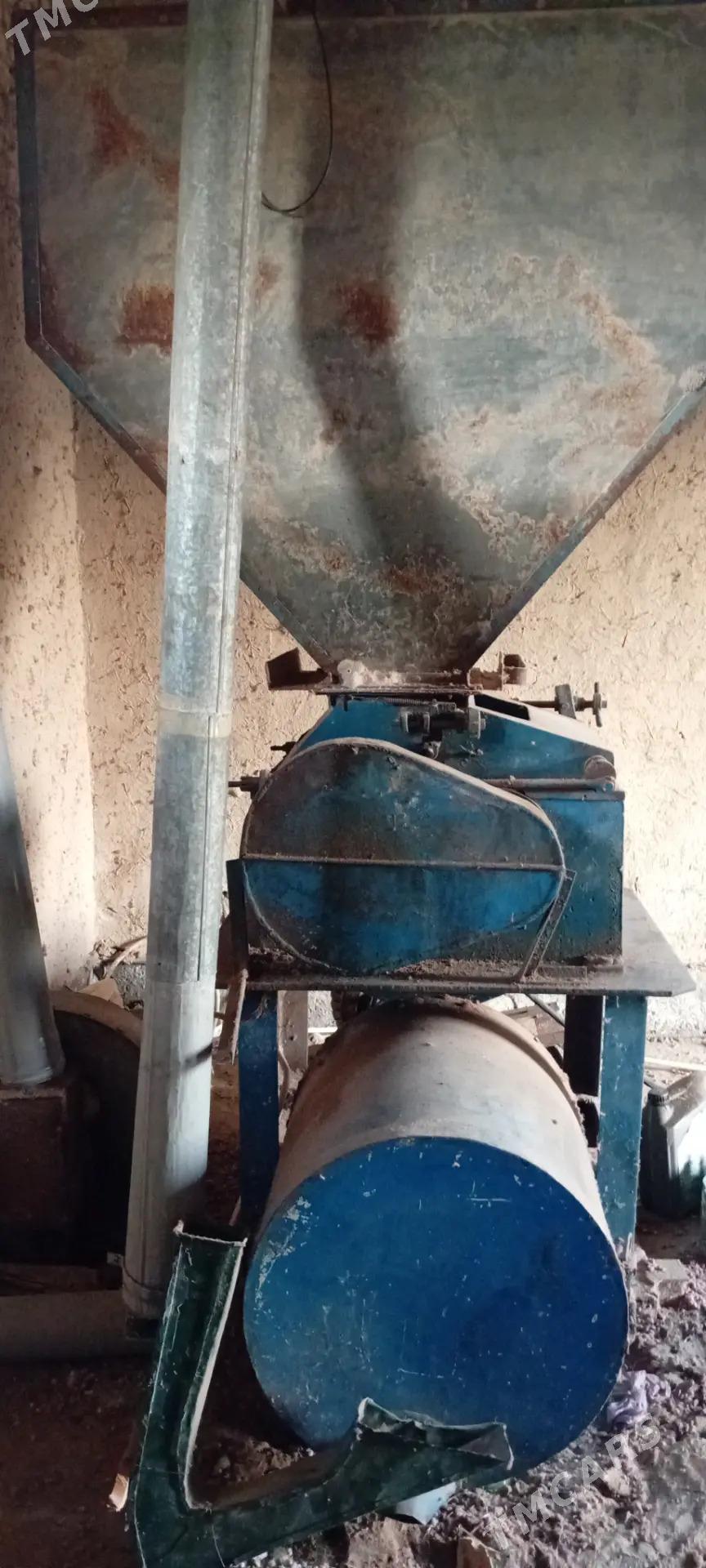 haraz - Болдумсаз - img 4