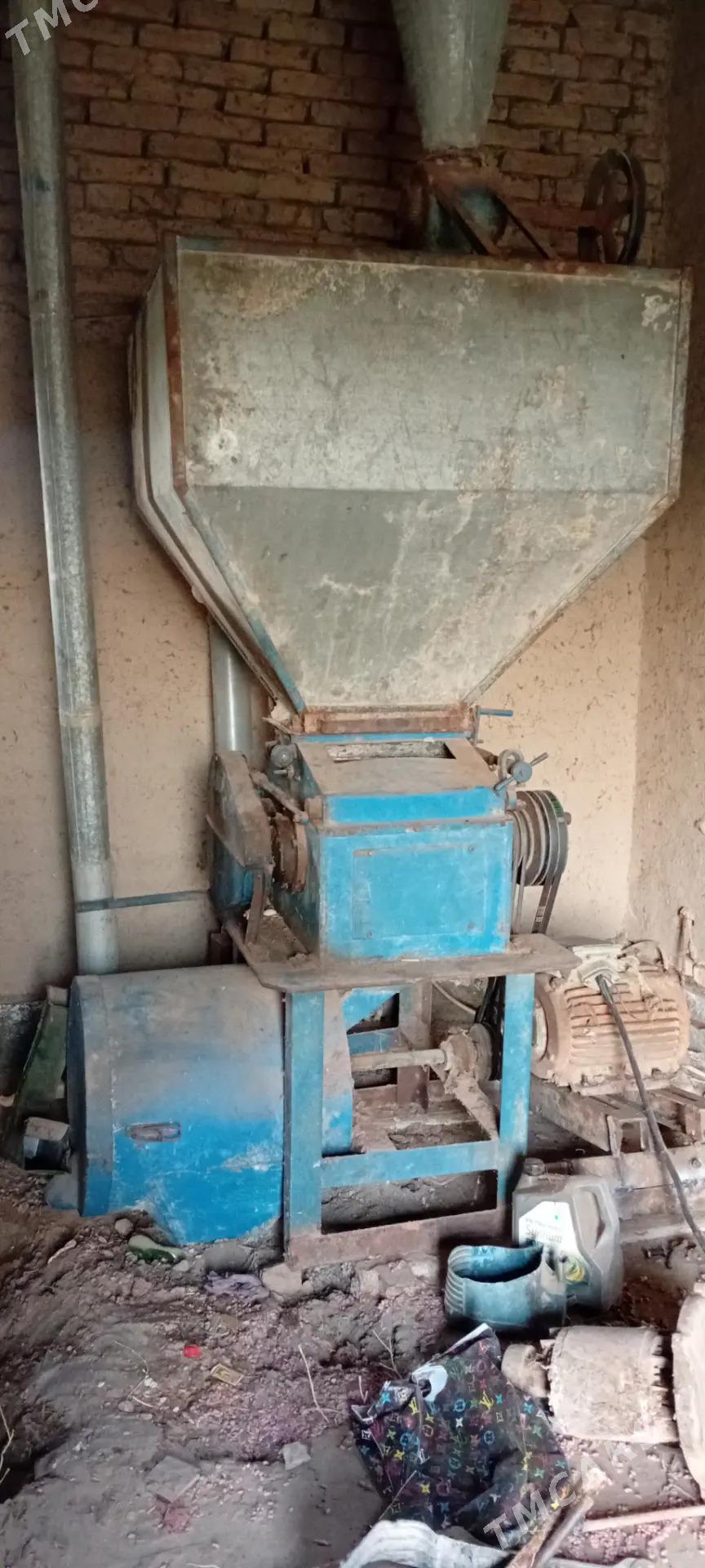 haraz - Болдумсаз - img 3