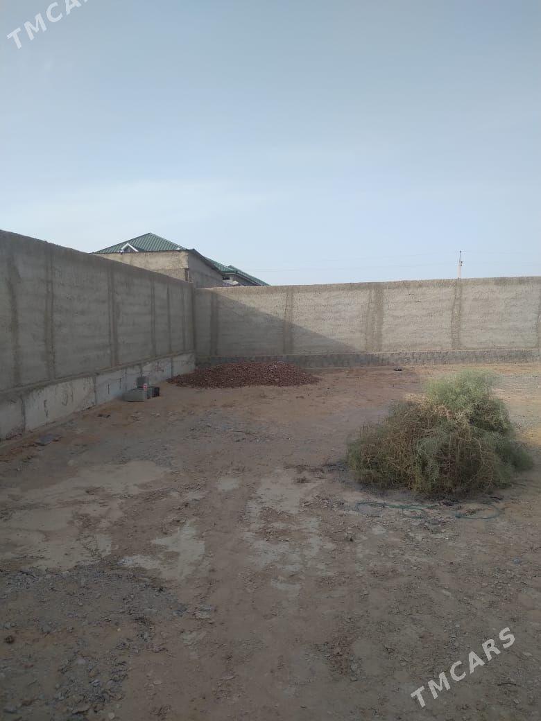 Satlyk jay - Анев - img 3