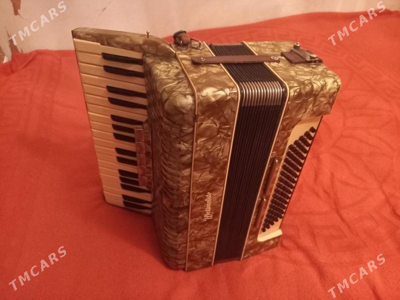 Аккордеон - Aşgabat - img 3