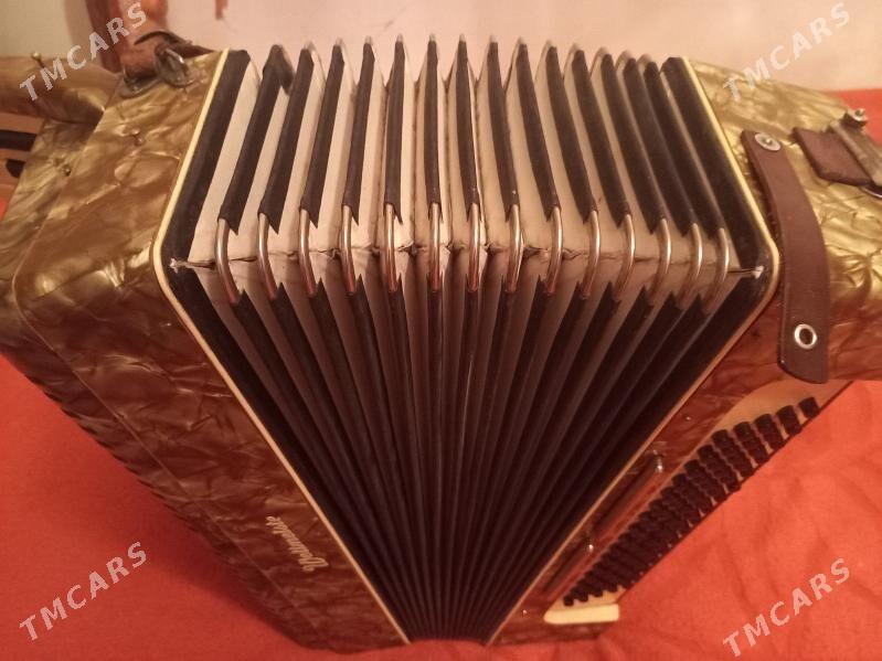 Аккордеон - Aşgabat - img 2