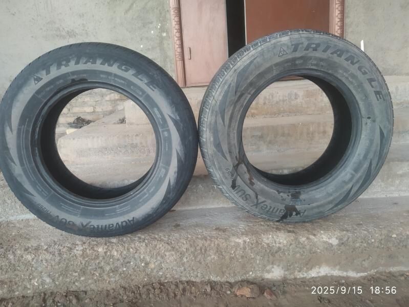 тигир 350 000 TMT - Гурбансолтан Едже - img 2