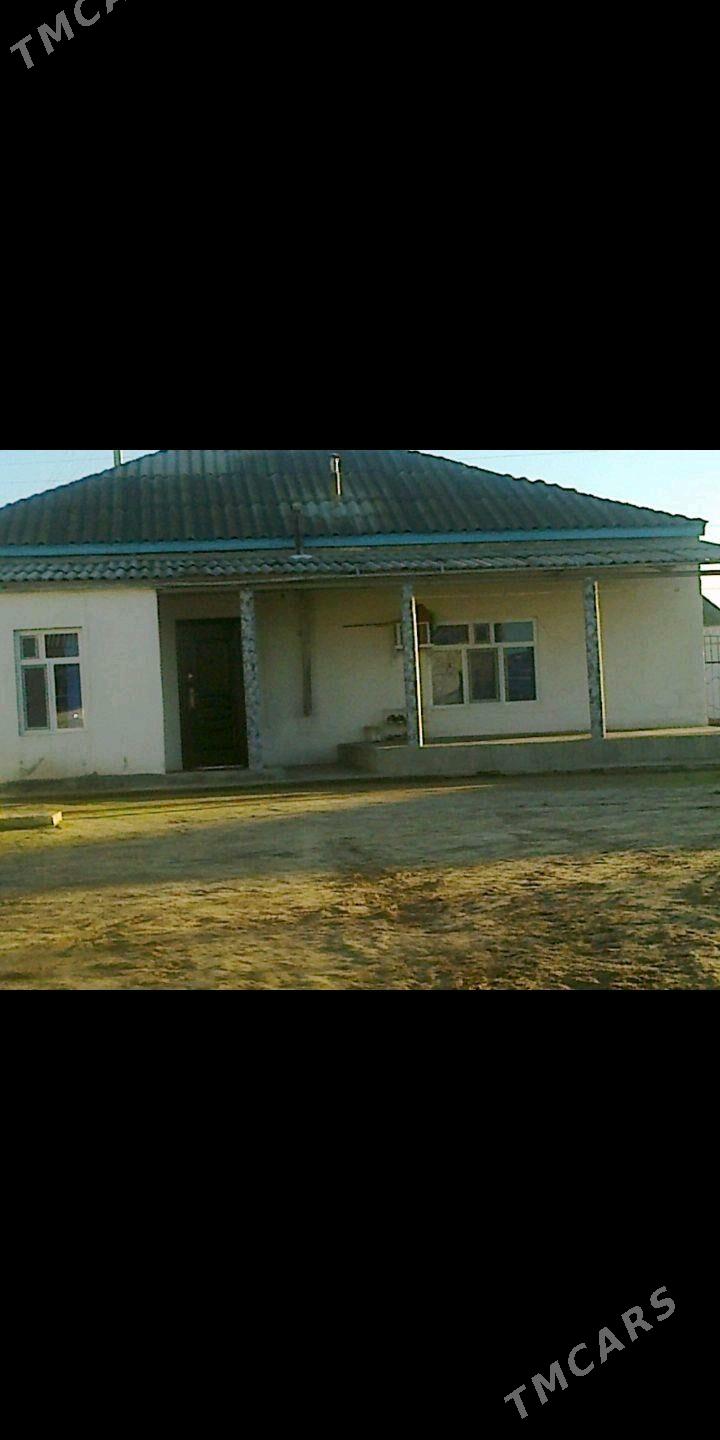 pylan jay - Etrek - img 2