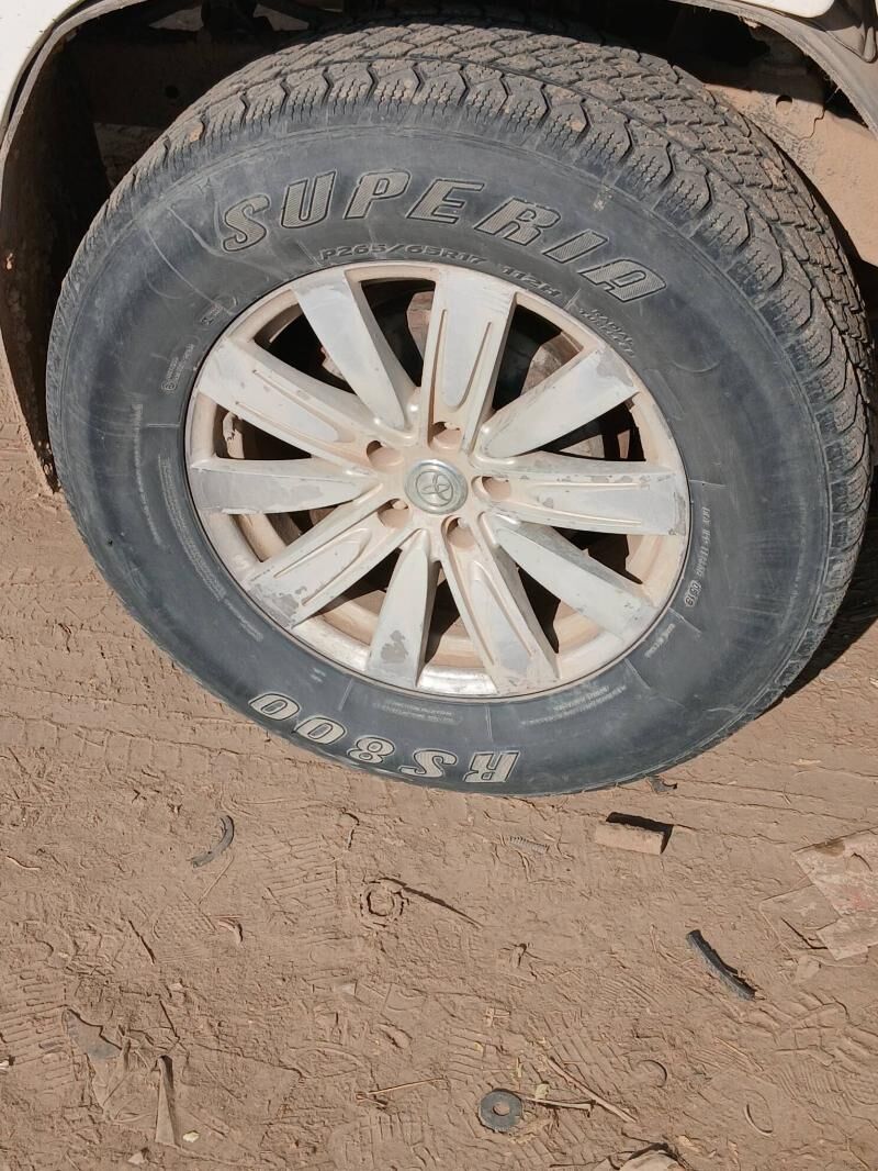 tigir 2 400 TMT - Sakarçäge - img 2