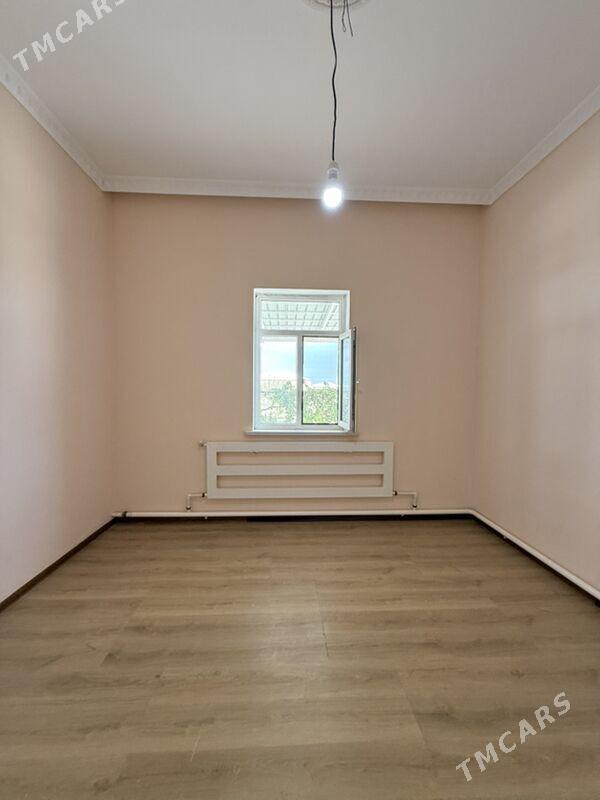 Gokdepe jay - Гёкдепе - img 3