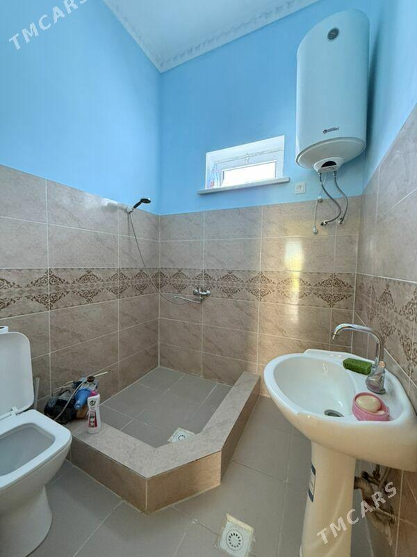 Gokdepe jay - Гёкдепе - img 8