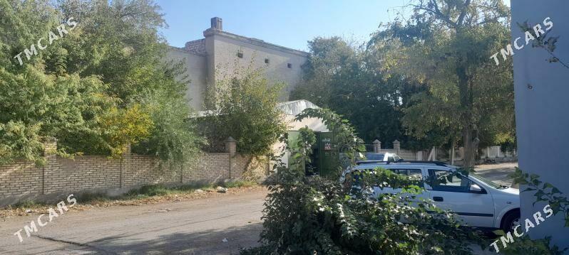 zdanya - Balkanabat - img 3