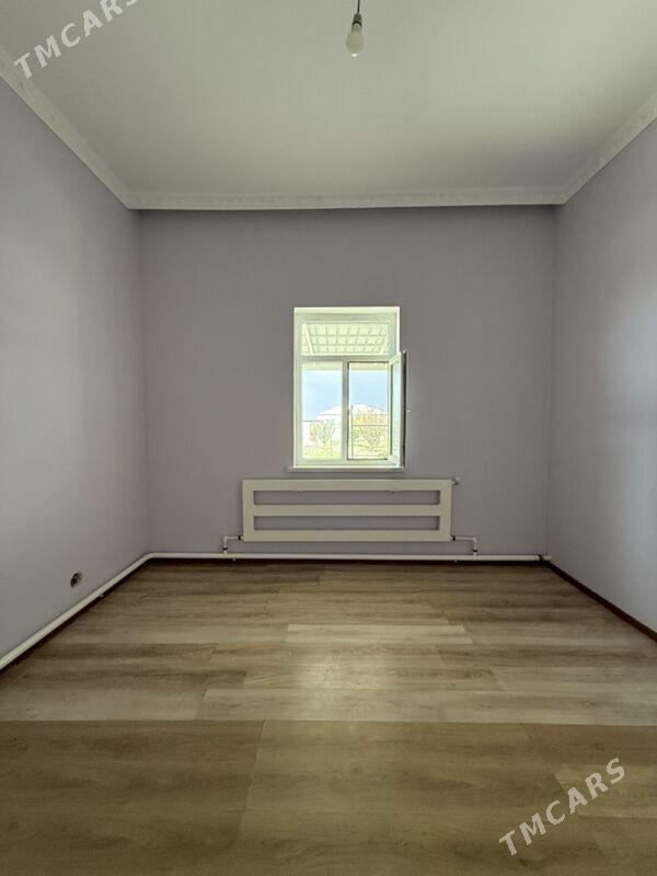 Gokdepe jay - Гёкдепе - img 2