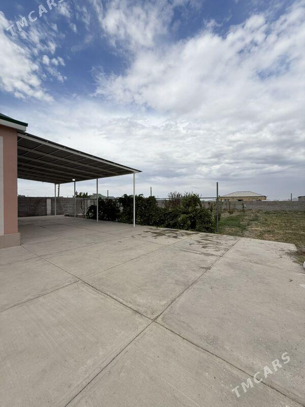 Gokdepe jay - Гёкдепе - img 9