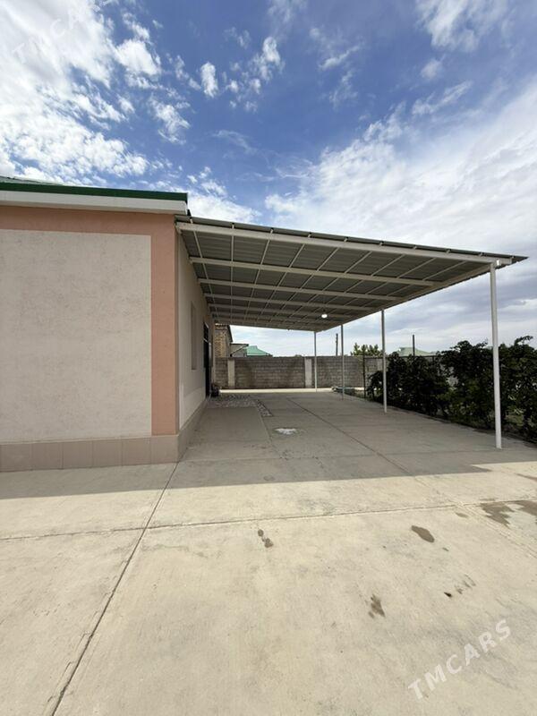 Gokdepe jay - Гёкдепе - img 7