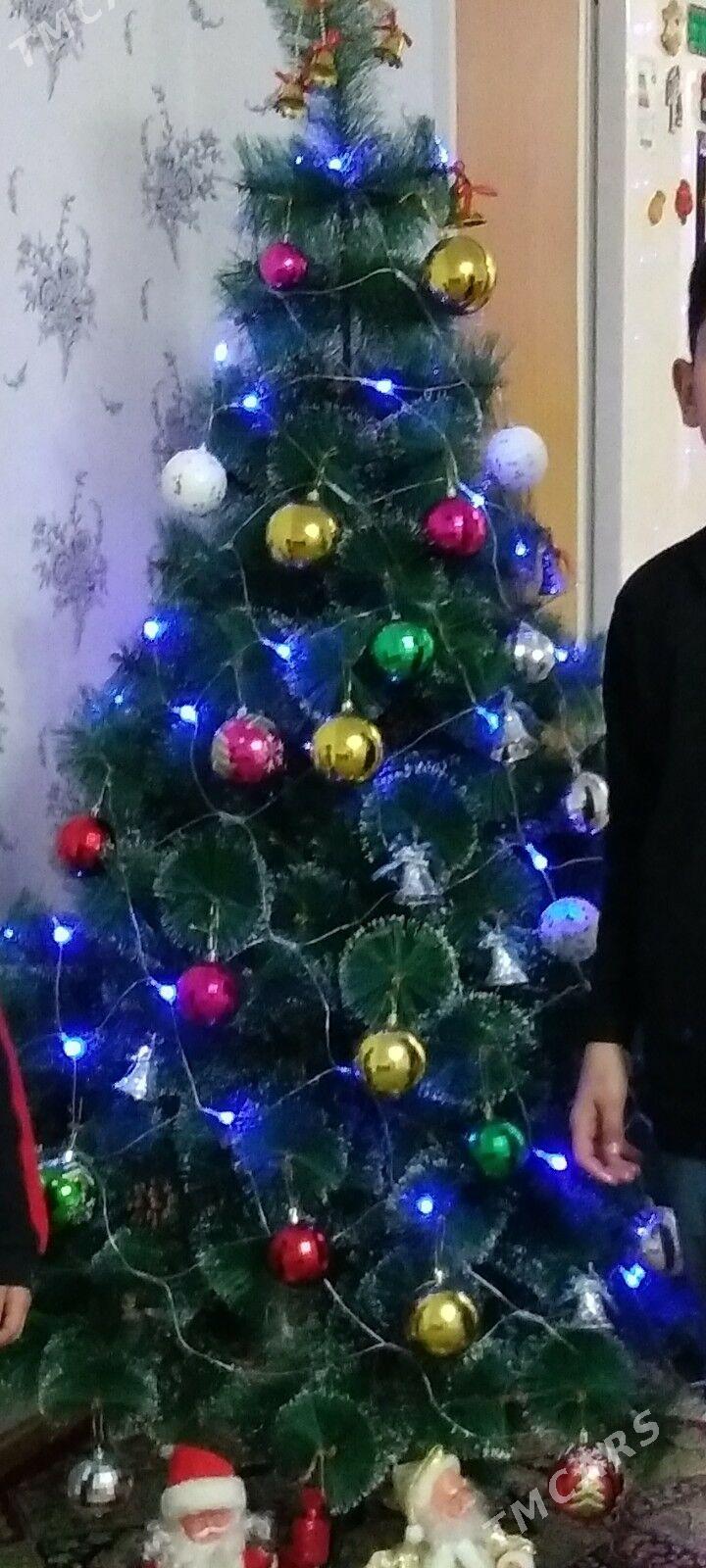 Ёлка - Туркменбаши - img 2