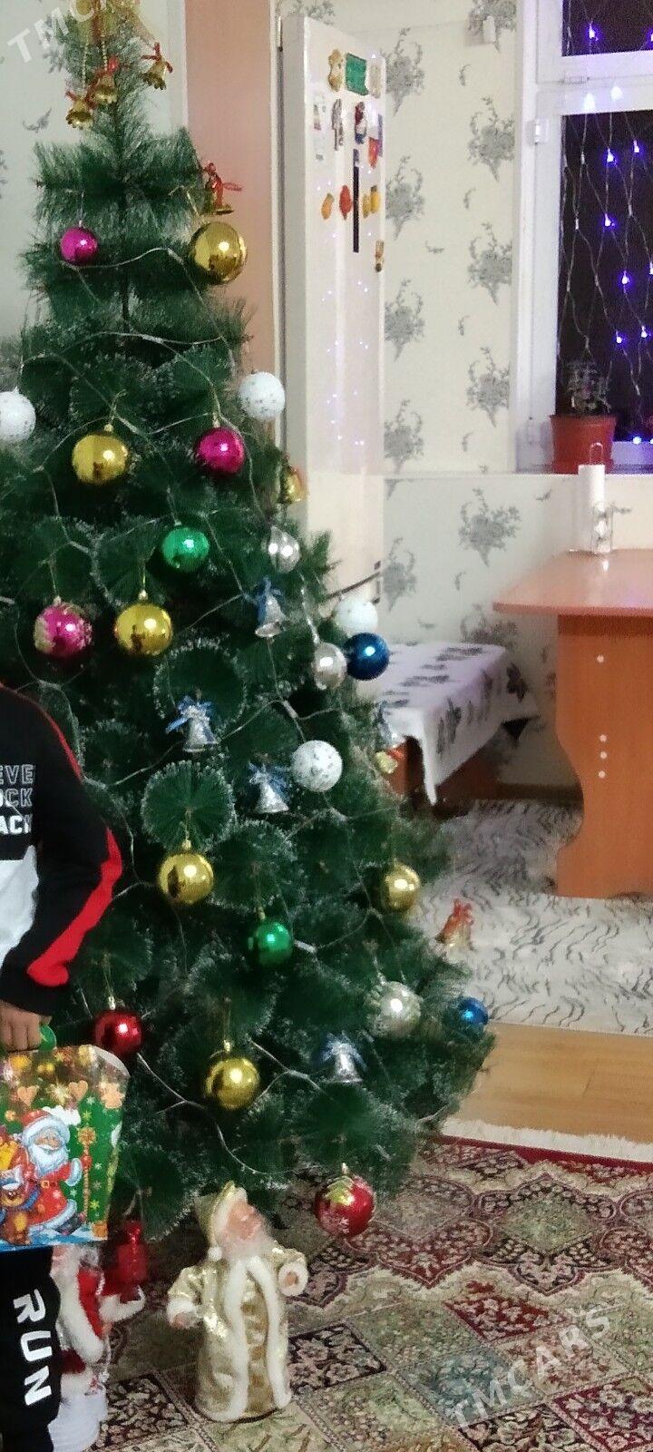 Ёлка - Туркменбаши - img 3