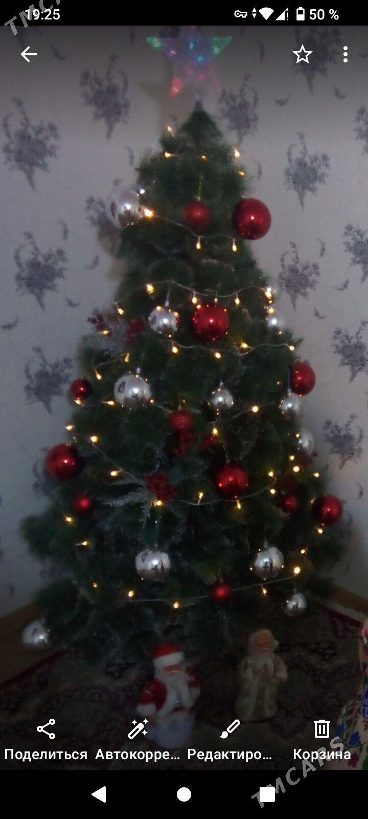 Ёлка - Туркменбаши - img 5