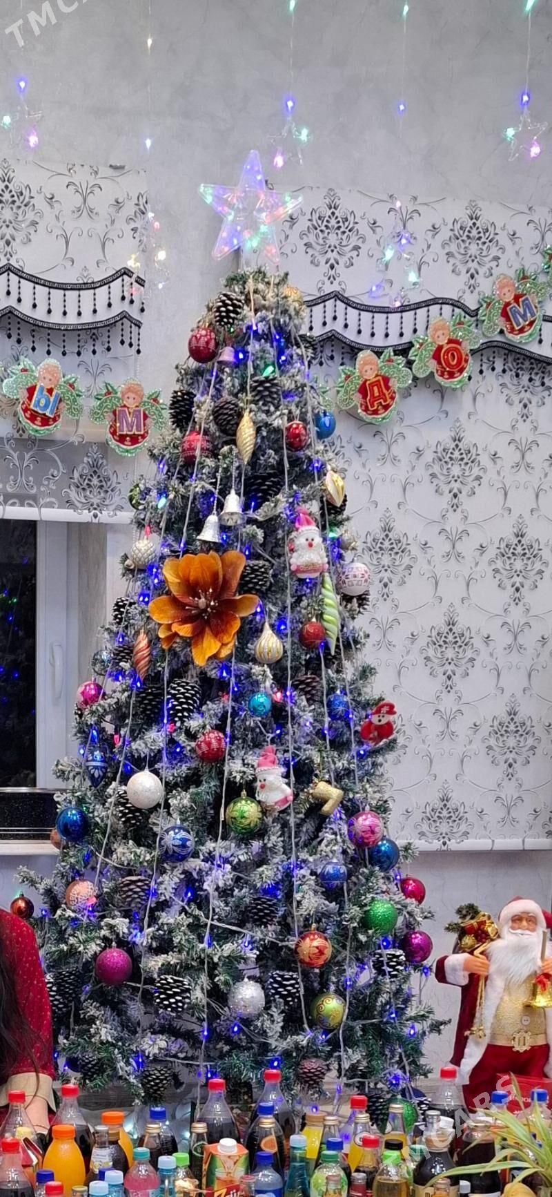 Yolka - Gurtly - img 3