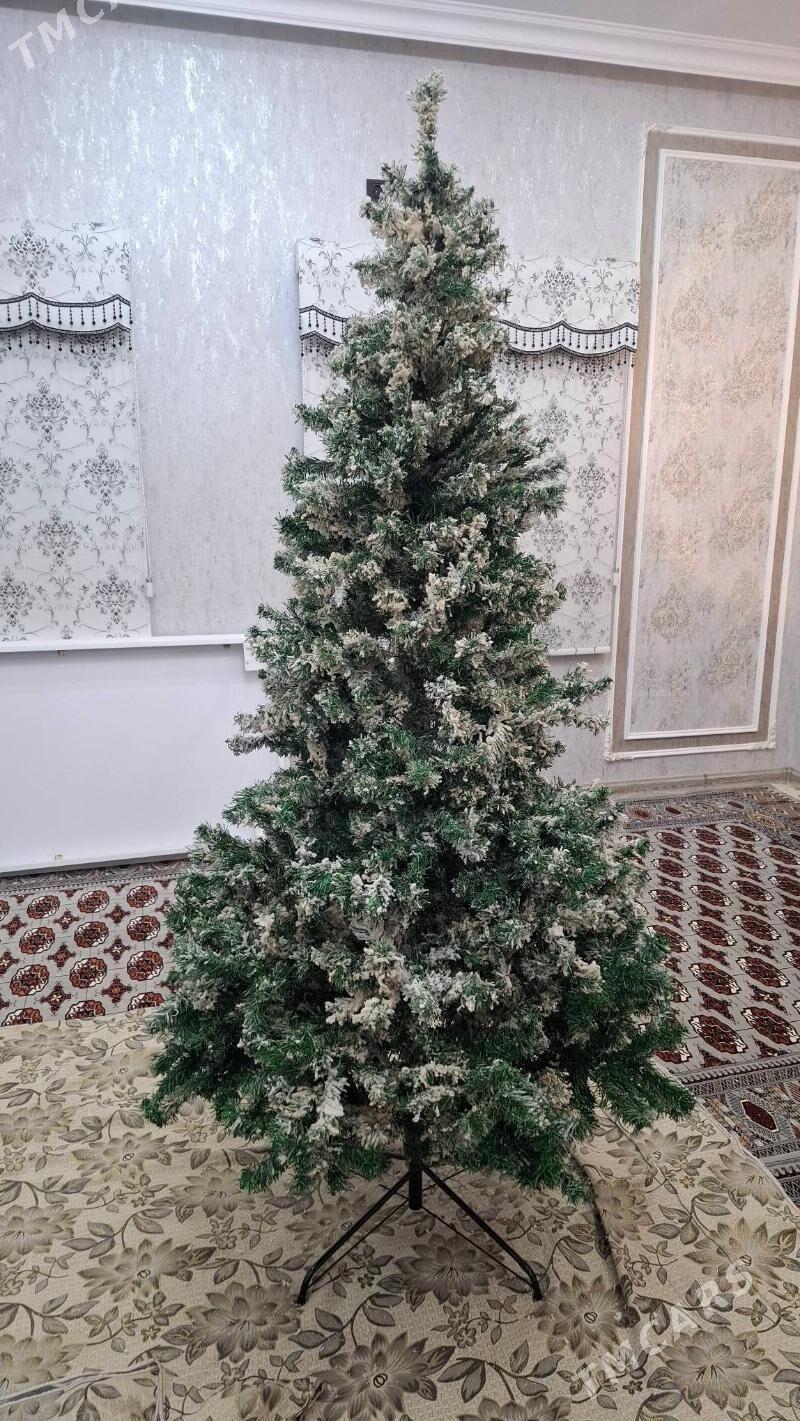 Yolka - Gurtly - img 2