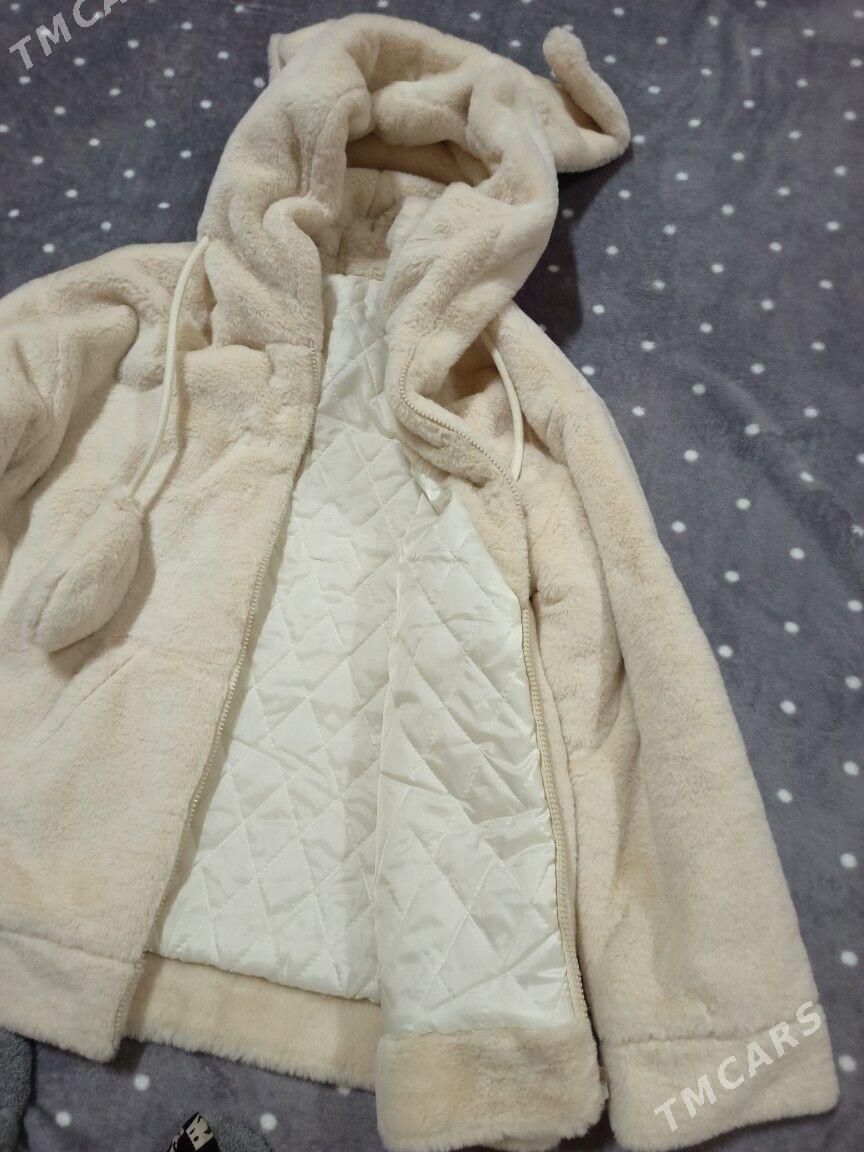 şuba - Daşoguz - img 2