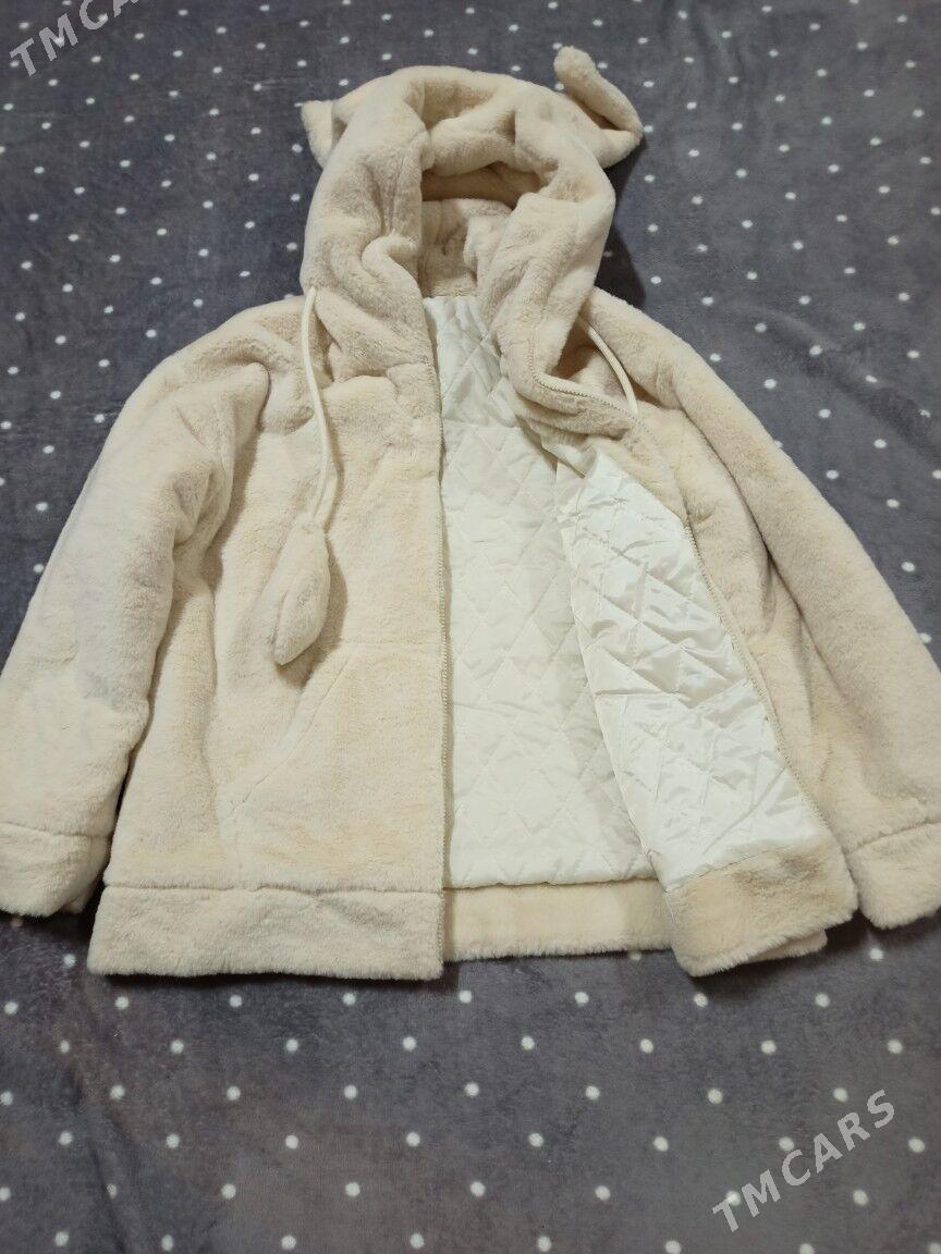 şuba - Daşoguz - img 4