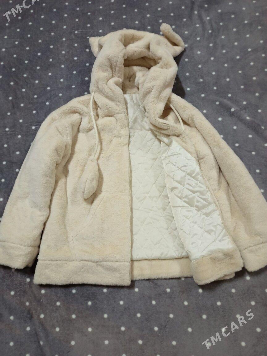 şuba - Daşoguz - img 5