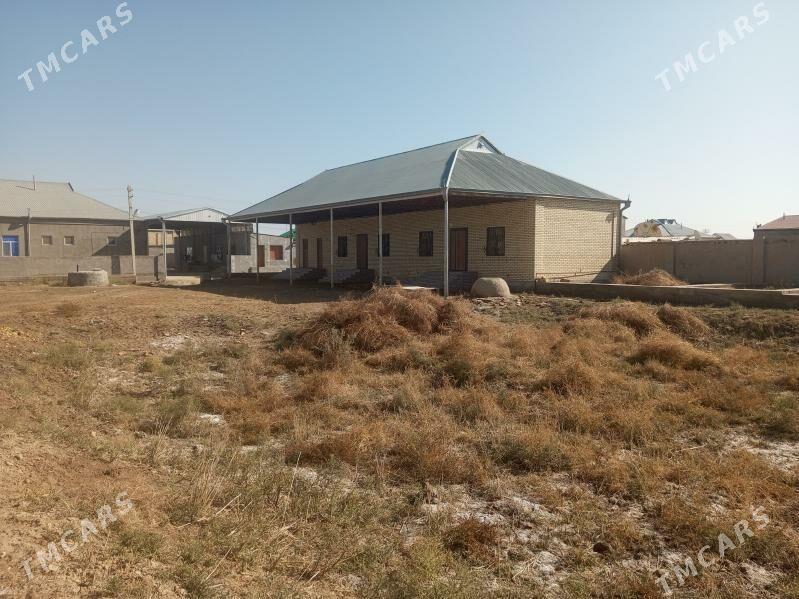 SATLYK JAÝ - Baýramaly - img 2