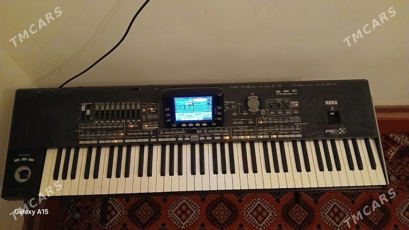 Korg pa x3 ulusy - Сакарчага - img 3
