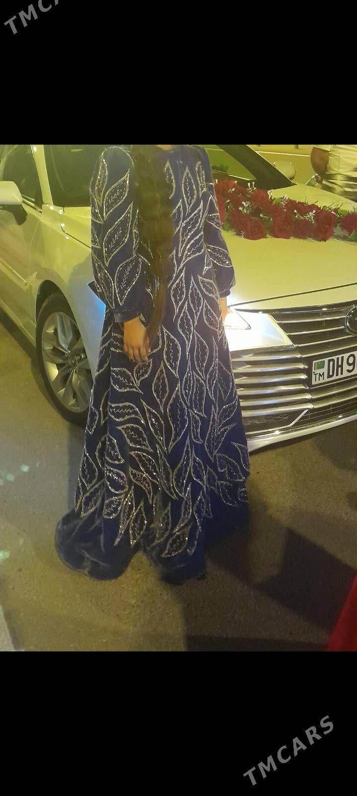 Pommah  hemmeyeri biser bilen - Çoganly - img 3