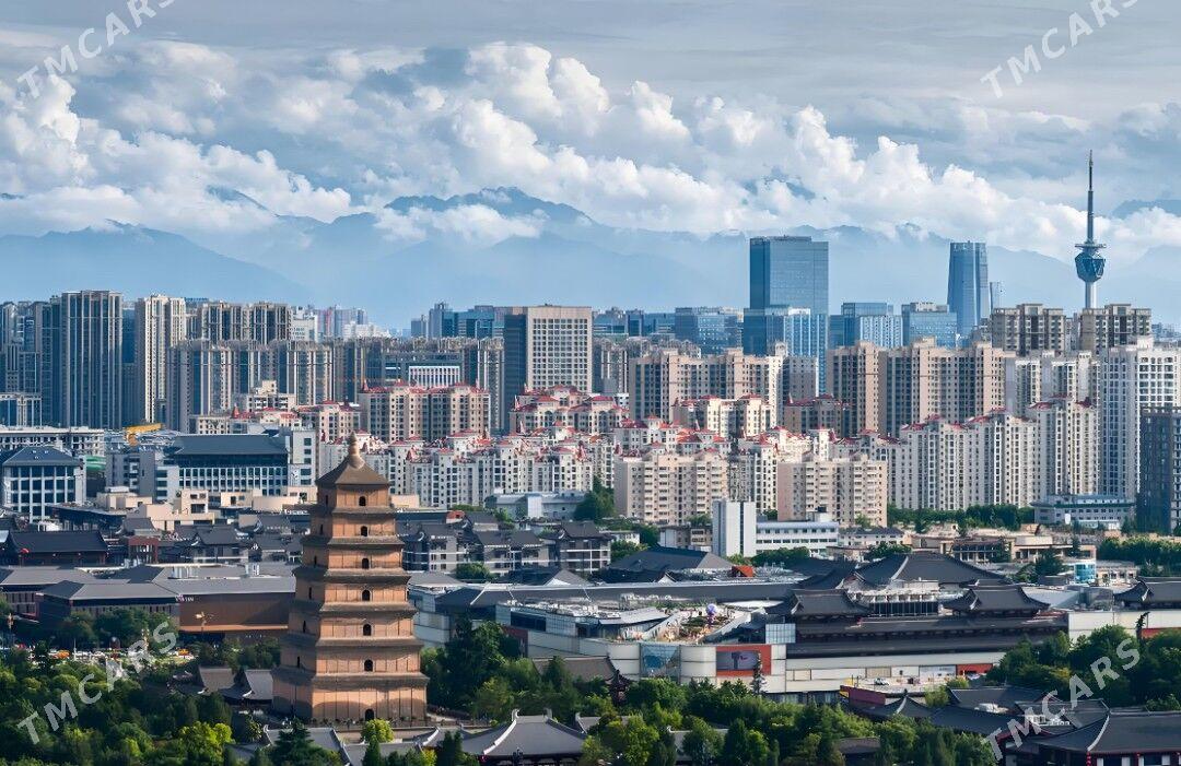  HYTAYDA OKUW  - Ашхабад - img 5