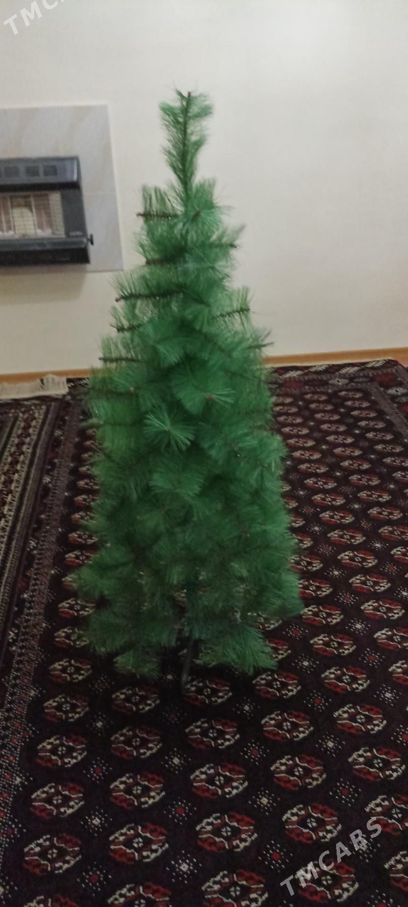 Ýolka - Гумдаг - img 2