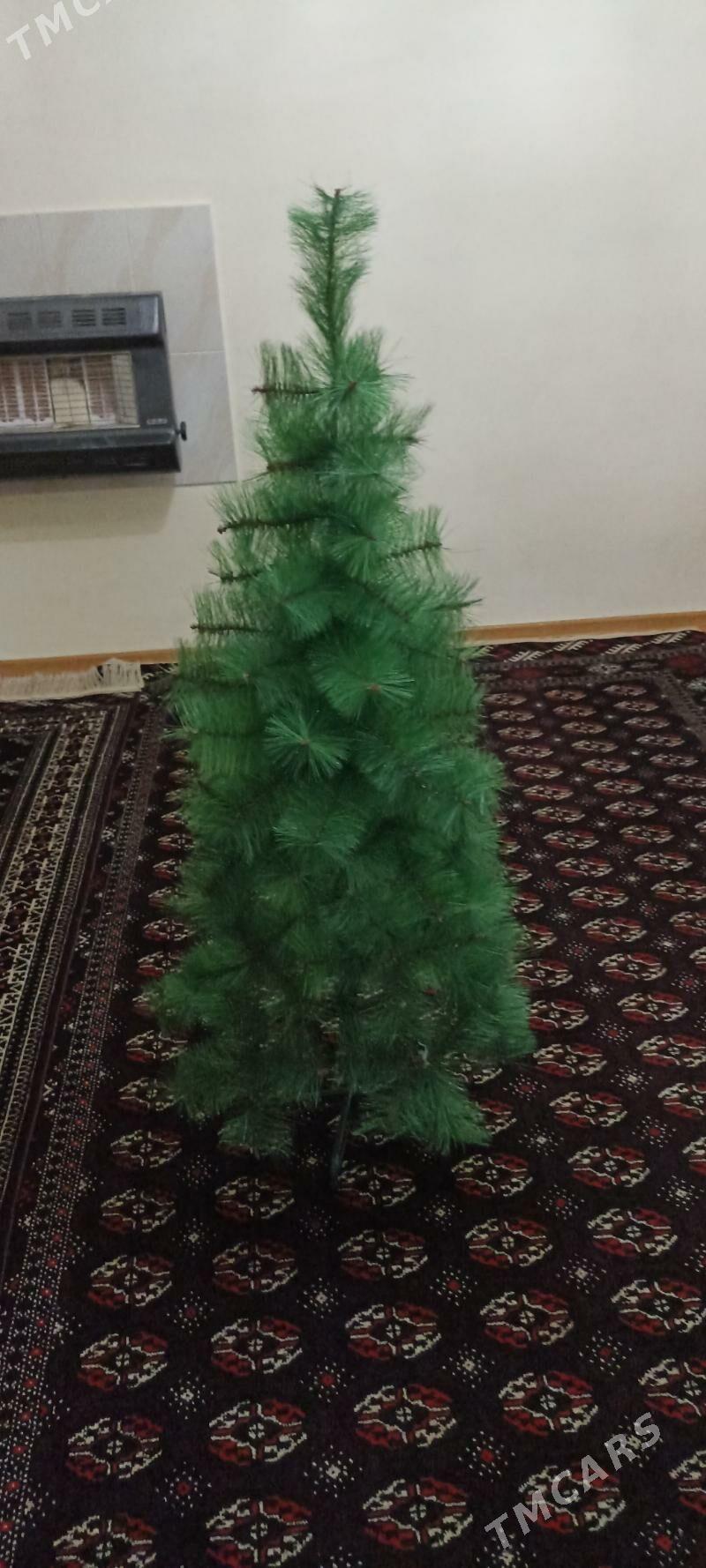 Ýolka - Гумдаг - img 1