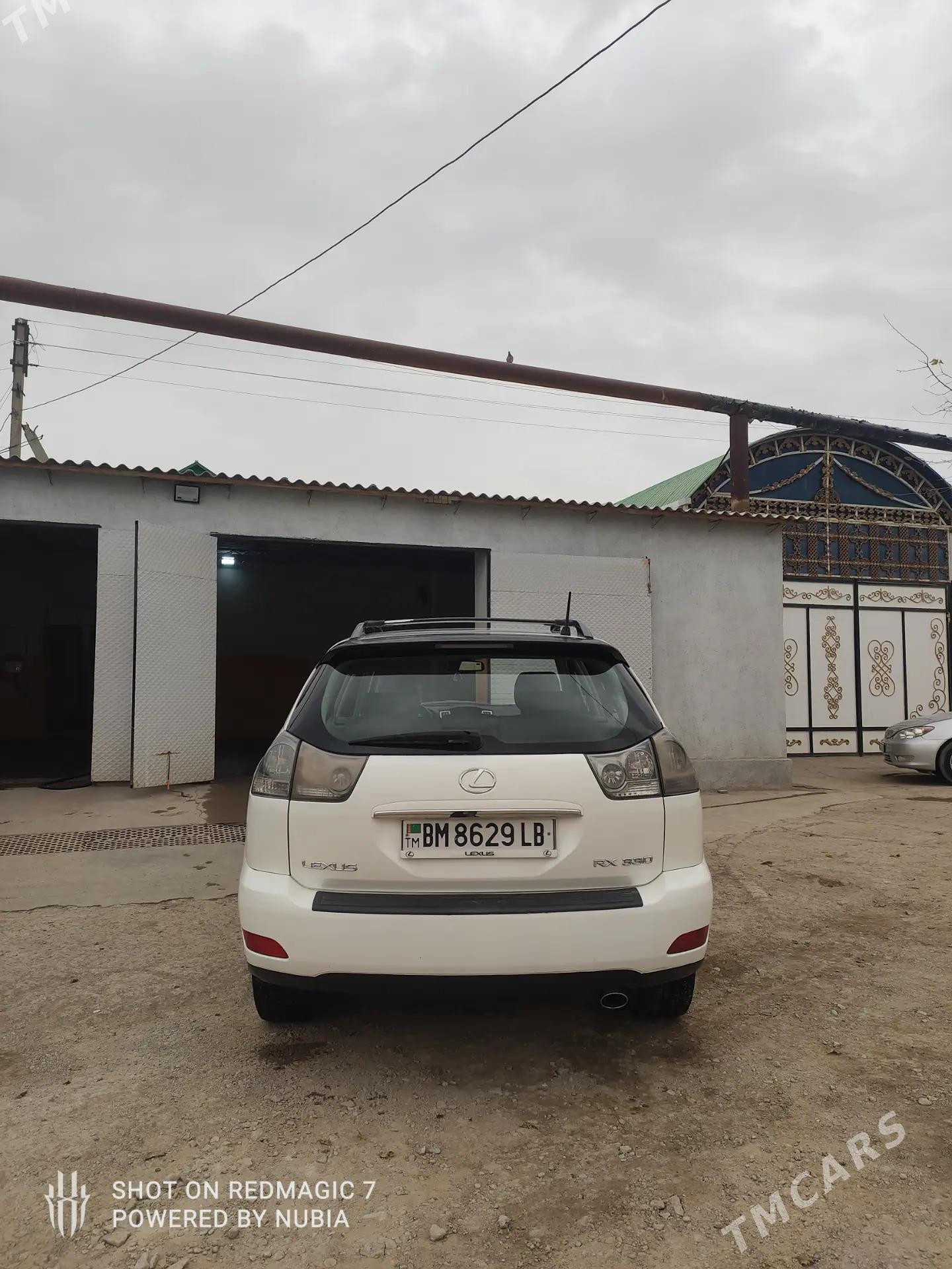 Lexus RX 330 2005 - 270 000 TMT - Магданлы - img 10