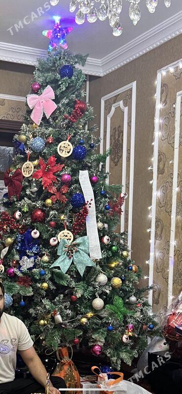 yolka - Ашхабад - img 2