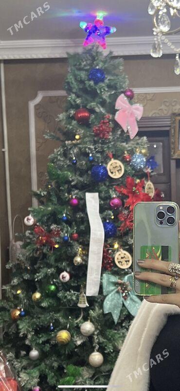 yolka - Ашхабад - img 1