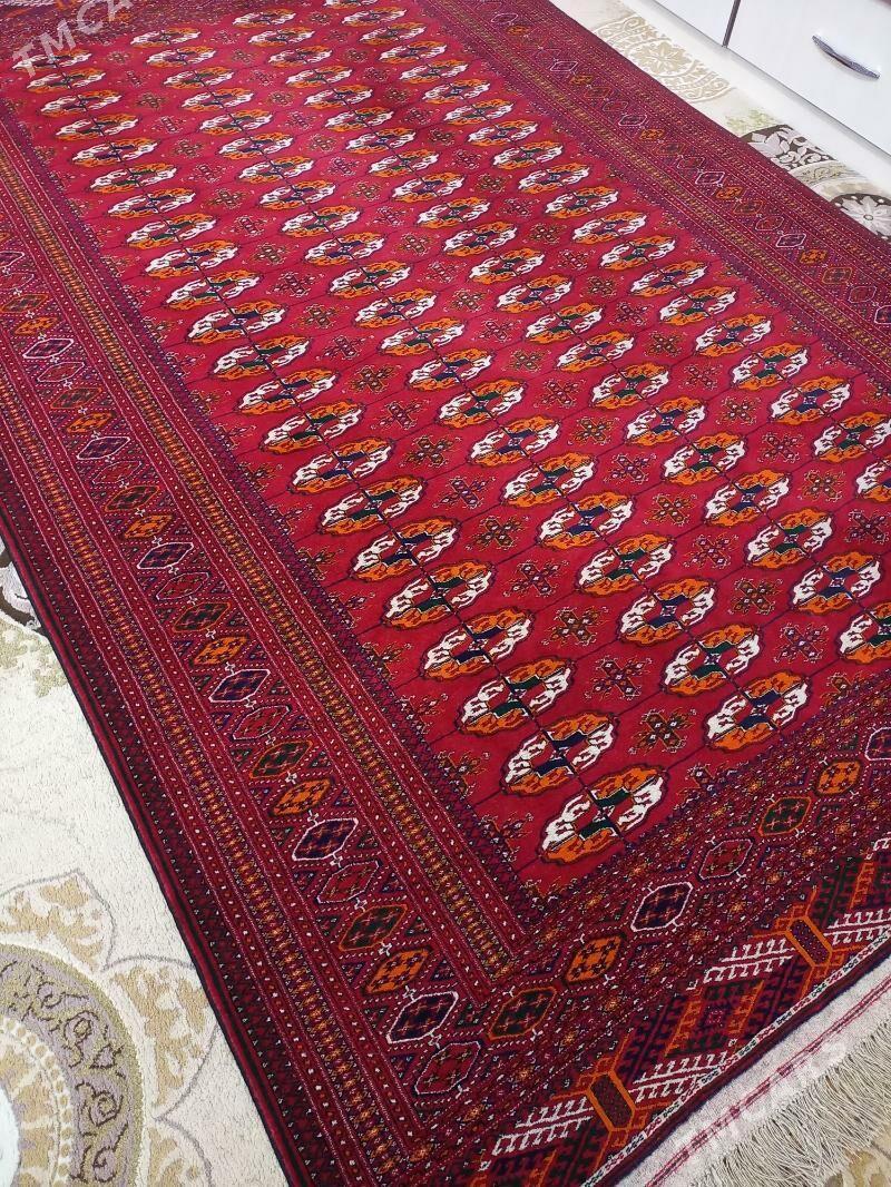 Gyzylarbat el haly - Büzmeýin GRES - img 2