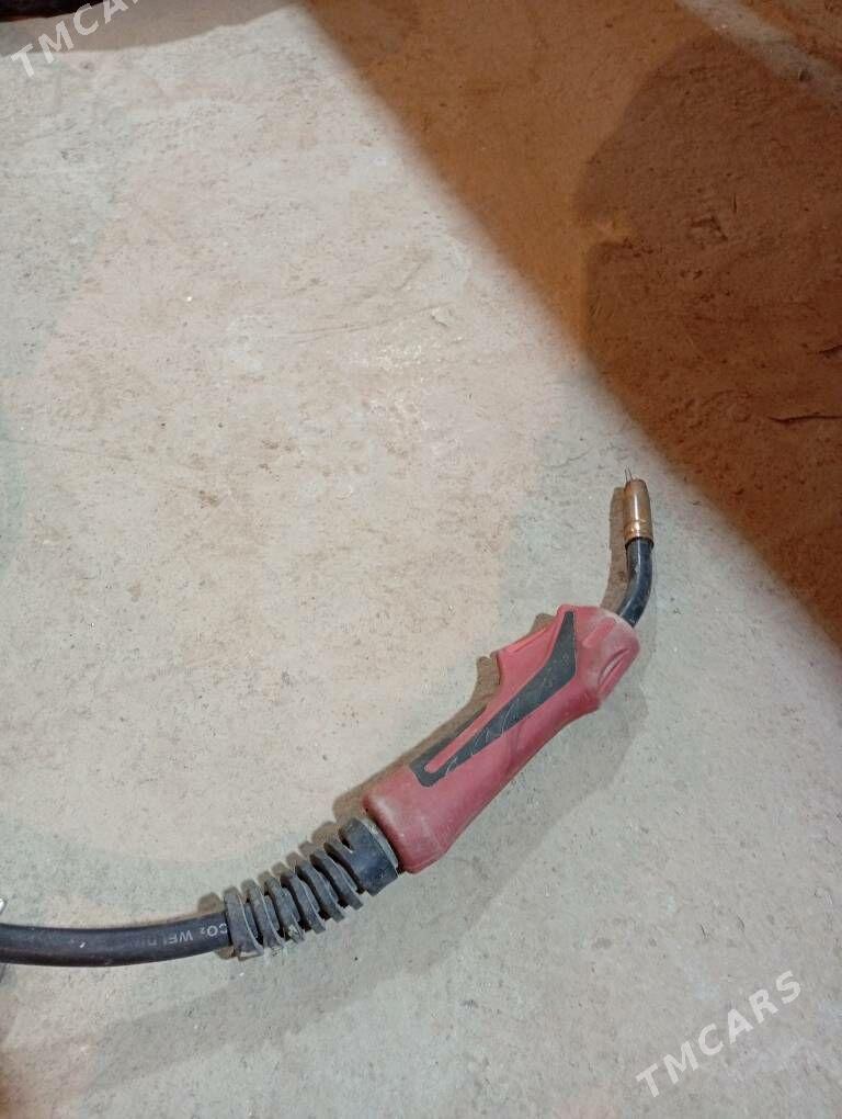 kantasny sywarka - Губадаг - img 3