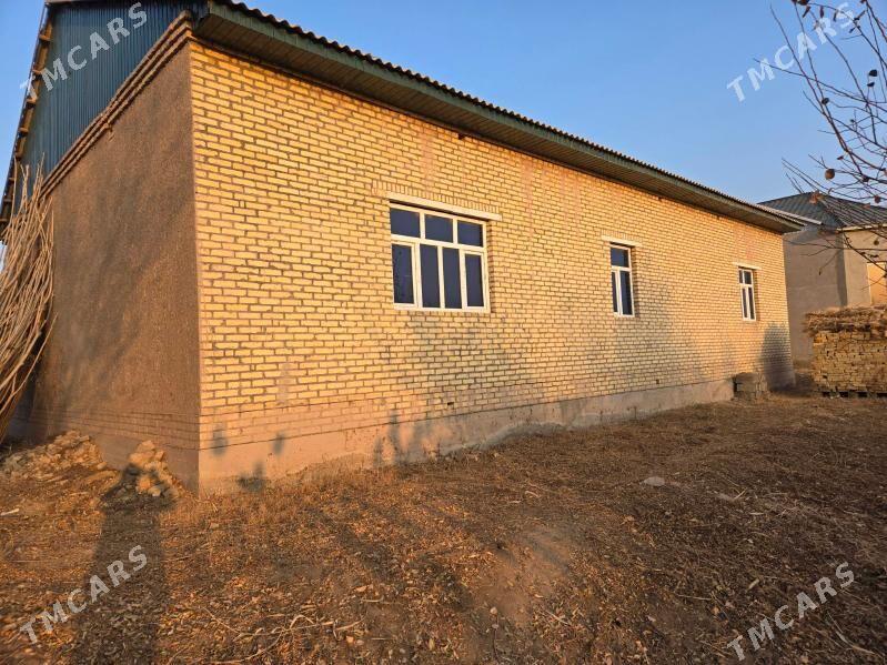 jay - Кёнеургенч - img 1