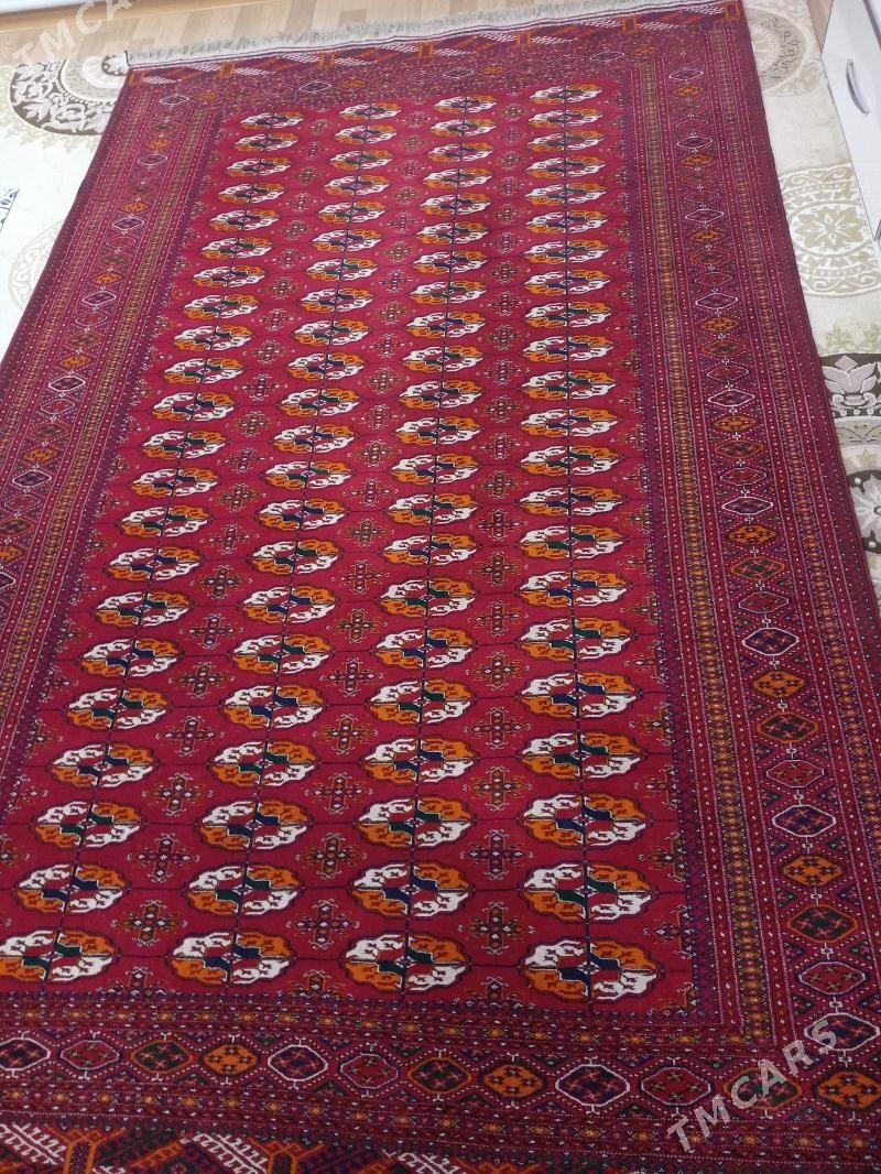 Gyzylarbat el haly - Büzmeýin GRES - img 5