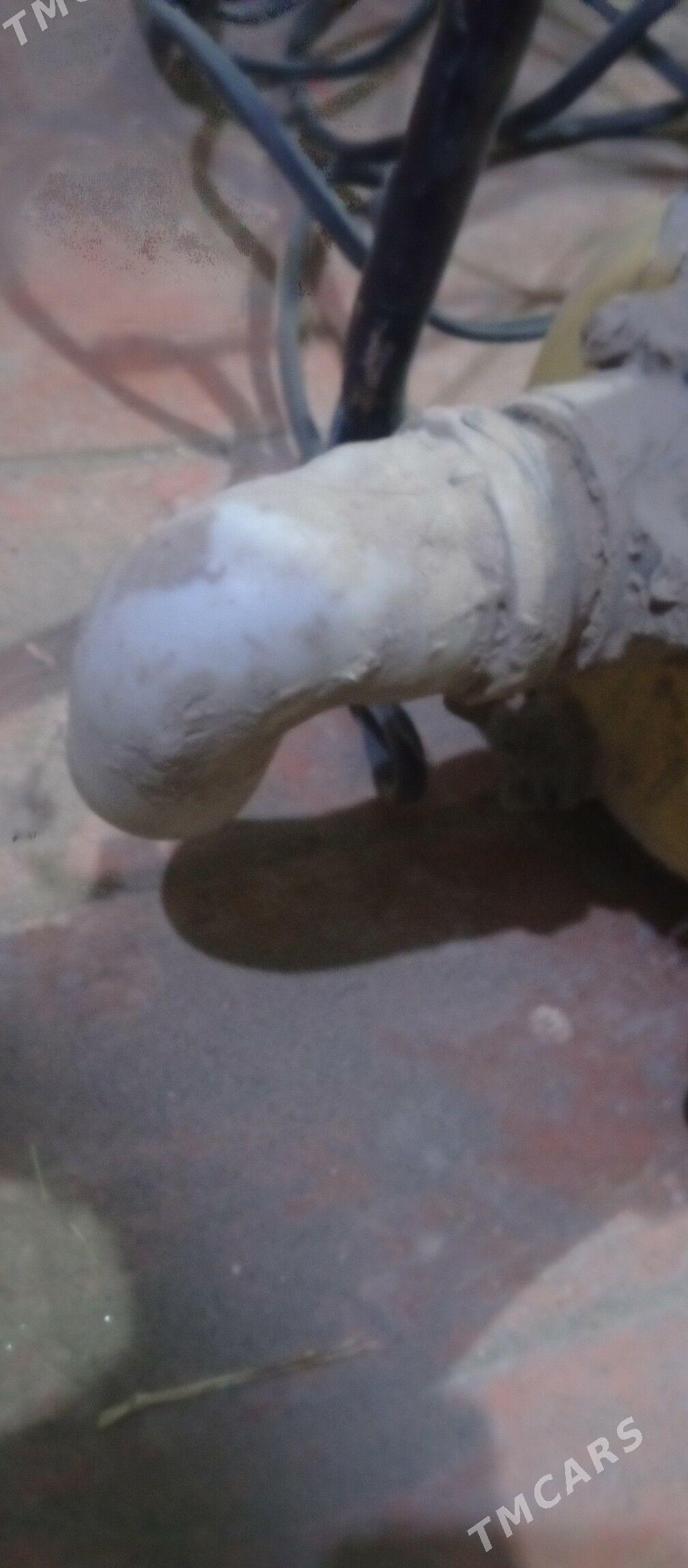 nasos - Дашогуз - img 7