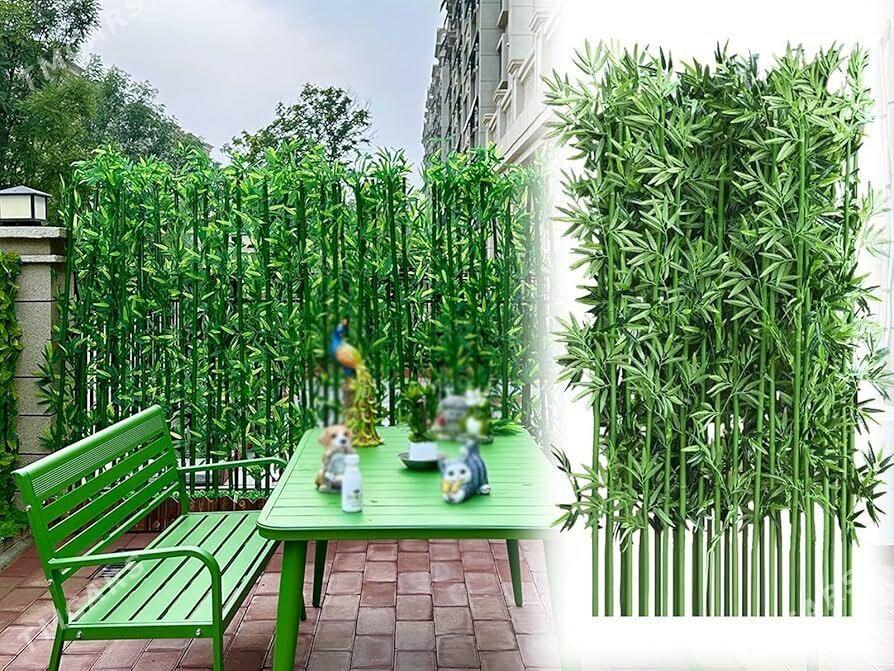 Бамбук - Aşgabat - img 4