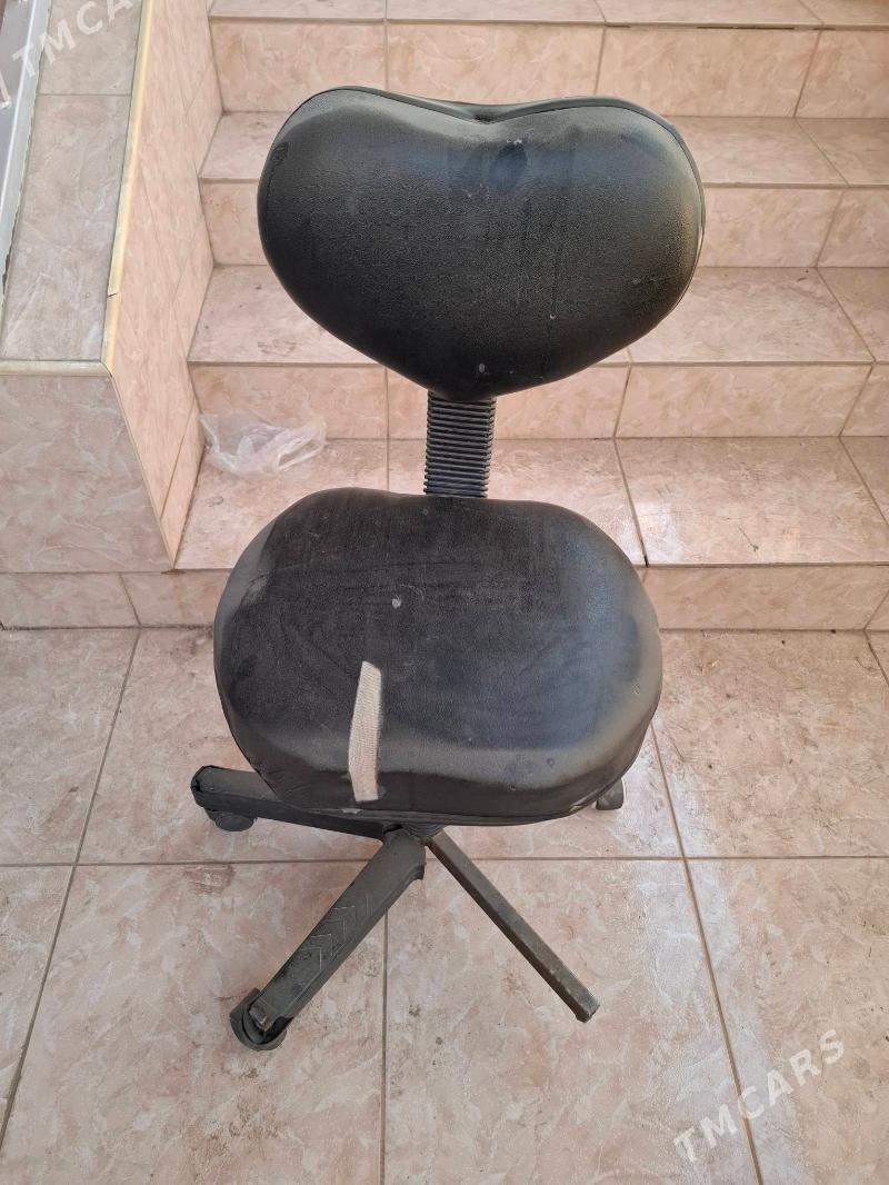 Otyrgyç öý uçin - Mary - img 2