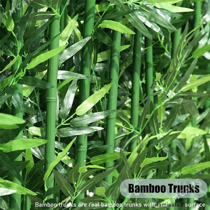 Бамбук - Aşgabat - img 5