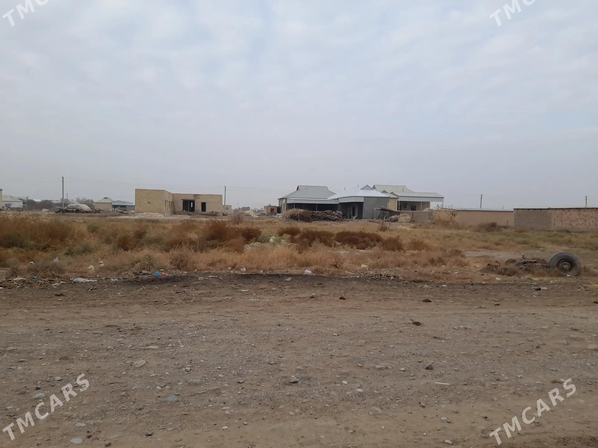 Mellek ýer / meýdan - Türkmengala - img 2