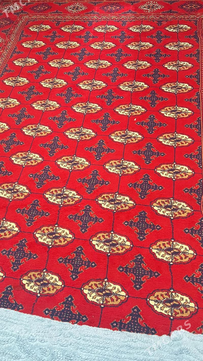 Ковер шерсть - Aşgabat - img 2