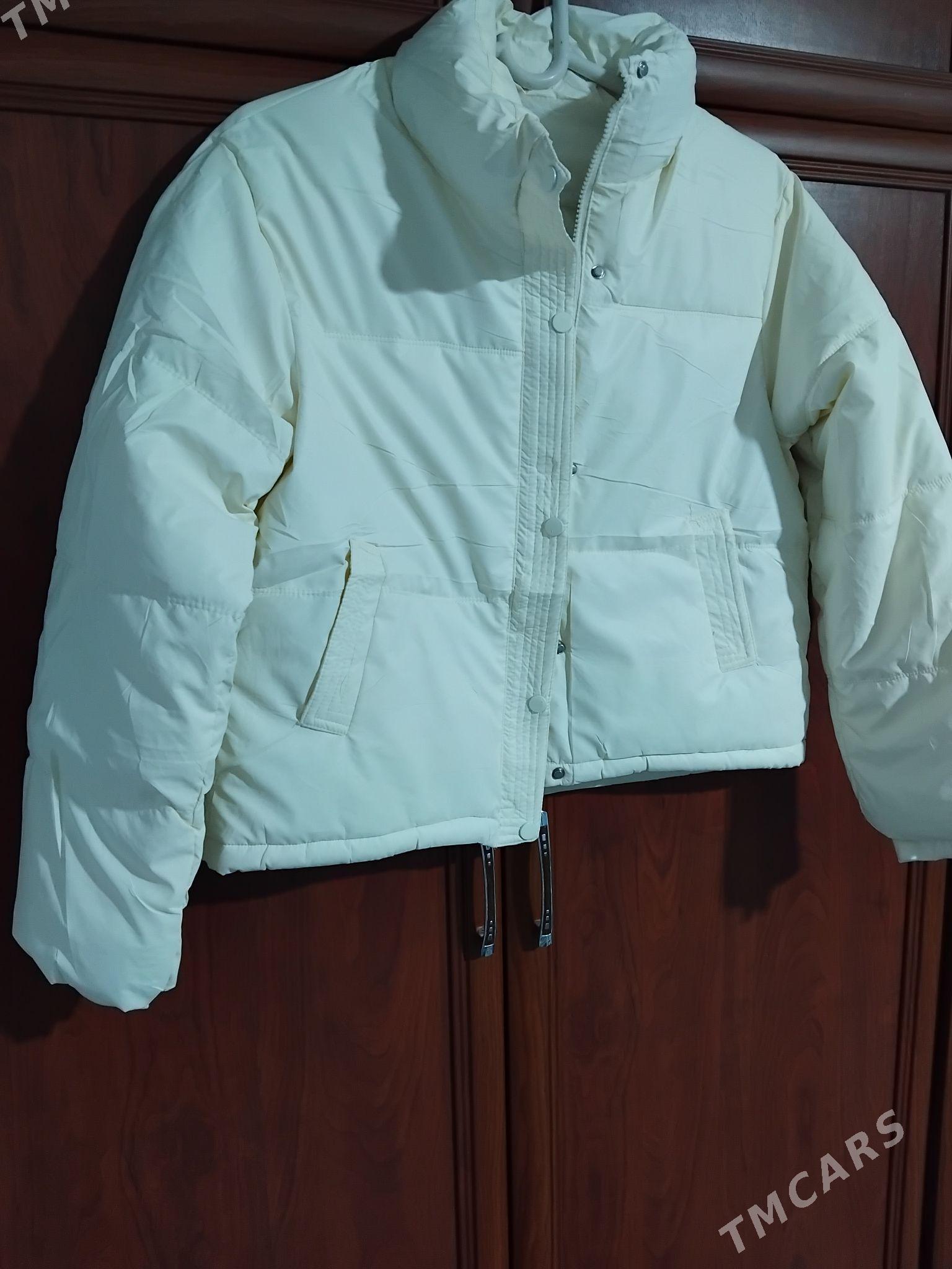 kurtgalar paket - Gyzylarbat - img 3