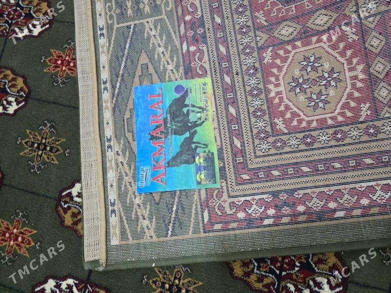 German halysy - Köşi - img 1