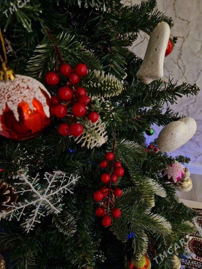 Täze yyl yolka - Podwoýski köç. (Bitarap Türkmenistan şaýoly) - img 3