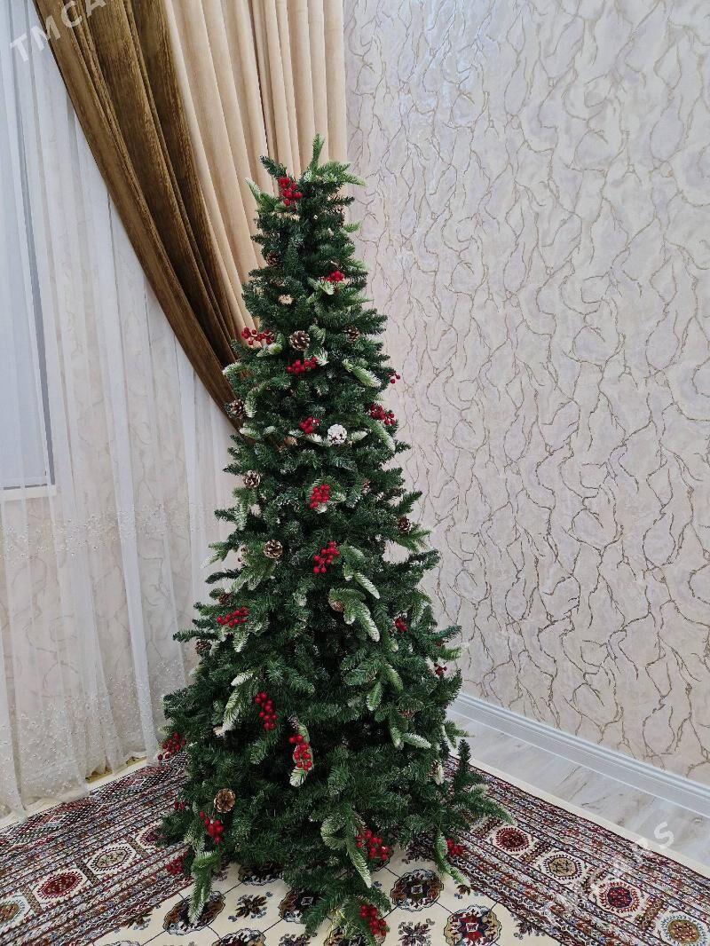 Täze yyl yolka - Podwoýski köç. (Bitarap Türkmenistan şaýoly) - img 4