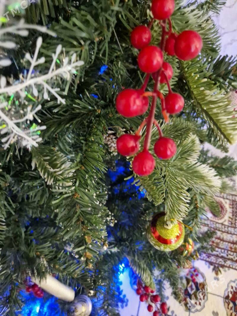 Täze yyl yolka - Podwoýski köç. (Bitarap Türkmenistan şaýoly) - img 2