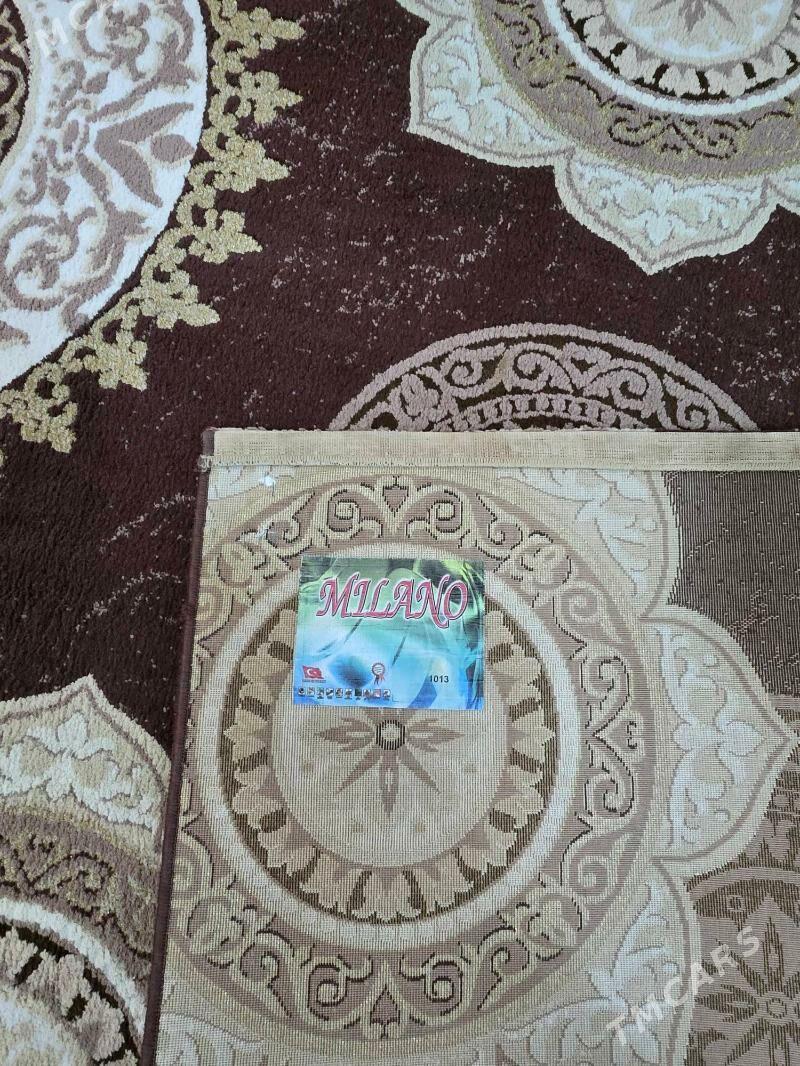 Haly - Köşi - img 1