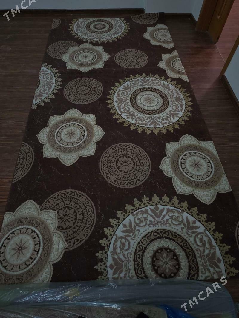 Haly - Köşi - img 4