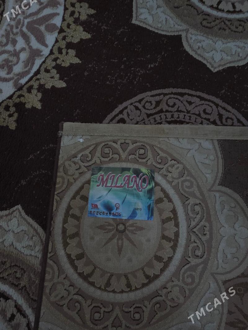 Haly - Köşi - img 5